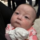 주영목장 | 돈 있냐고? 민생소비쿠폰이 다야