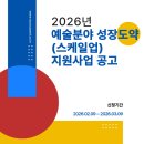 스케일업