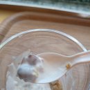 브리오슈도레강남교보 | 브리오슈도레 교보타워점 오트밀요거트 굿~
