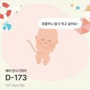 [여름특강] 신난다 건강댄스 | (임신 16주 ~ 19주) 성별확인, 태동!!, 기형아검사 결과 그리고 실신증상