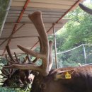 어답산농장 이미지