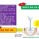 수목관리 이미지