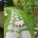 카페313 이미지
