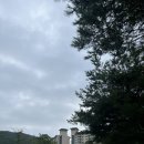 노스커피센터 이미지