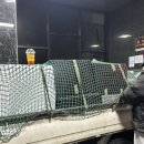 털뭉탱이 이미지