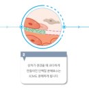 위드연의원 이미지