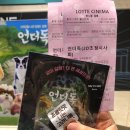 위대한견생 이미지