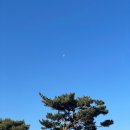 아름다운고택 | 송담고택 하객 후기 주차 및 식사 견적 소규모 돌잔치 결혼식 야외행사 스냅촬영