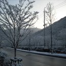 학운초등학교 이미지