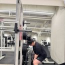 리라 핏 이미지