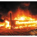 성태축산 | 가축 · 양봉 주간농사정보 제33호