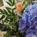 수원시 팔달구 창룡대로 이미지