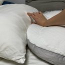 코디센슬립라운지 | [베개원정대] 처음으로 비싼 베개를 사봤다