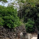 늘 올레 스테이 이미지