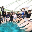 유성