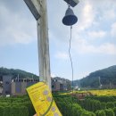 바람아래관광농원 이미지