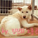 같이 이미지