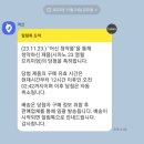 폴인에프앤비 | 시마노 베이트릴 신형 23 염월프리미엄 151pg 고멕서스 더블핸들 염프에디션 [18염프 비교]