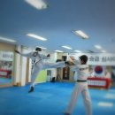 BEST태권도장 이미지