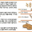 장수녹용 이미지