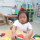 화난돼지 이미지