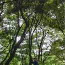 행복숲어린이집 이미지