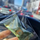 달리기기록166-밀양하프마라톤 대비 100분 시간주
