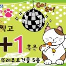 마네키네코노래연습장 이미지