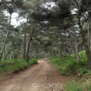 상리로 이미지