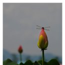 상주 공검지 Daum카페