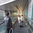 하나로뷔페 | “날씨 하나로 여행 만족도 끝판왕”…사이판 PIC 솔직 후기 (잉글리쉬 아카데미 + 뷔페 현실)