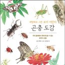 달모임 이미지