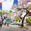 온천천일대10 이미지