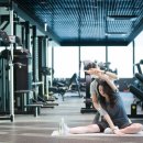 63 피트니스 이미지