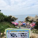 3월14일 토요당일 울산 염포산 화정산 대왕암(해파랑길8코스) 이미지