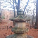 동화사(도학동) 이미지