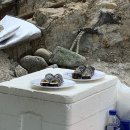 동삼1동-16 | 백종원 성게알김밥 영도해녀촌, 중리해녀촌 솔직후기