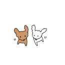 모모애견미용실 이미지