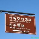 신수명묘 이미지