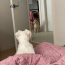 봉스타 코인 노래연습장 원주단구점 | 25년 10월 일상(추석연휴, 코인노래방, 볼링장, 까페)