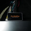 멀티시스템 이미지