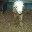 정오농장 이미지