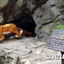 괴산클라스 이미지