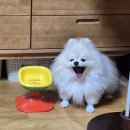 은혜알뜰매장 | 서비스직 종사자에게 친절하게 대해주세요..ㅠㅠ 우리의 친구일 수도 있는게 아니라 나다. 나라고...