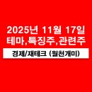 영원자동차공업(주)제2공장 | 11월 17일 특징주(PCB 반도체기판 인쇄회로기판 관련주, 반도체 장비, 반도체 소재, HBM, AI가속기...