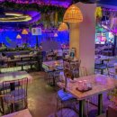 푸른술집 할라 이미지