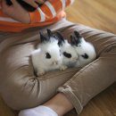 속리산 사계절 캠핑장 이미지