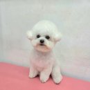 브리앙뜨몽 이미지