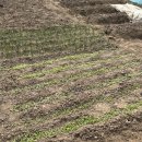 팔암농장 이미지