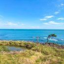 강동오토캠핑장 이미지